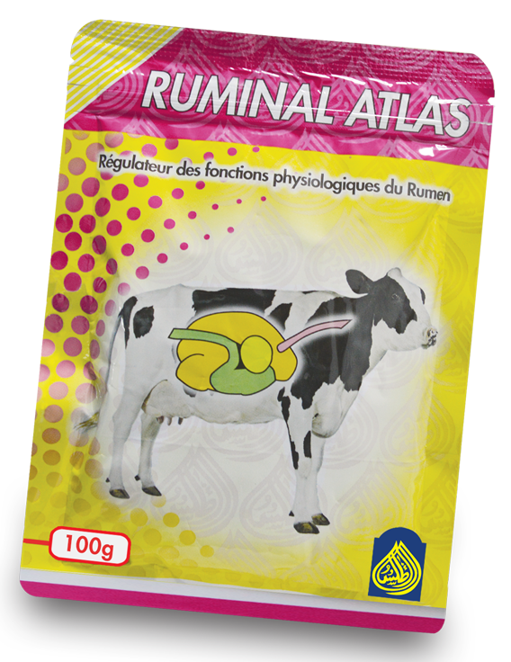 ruminal-atlas