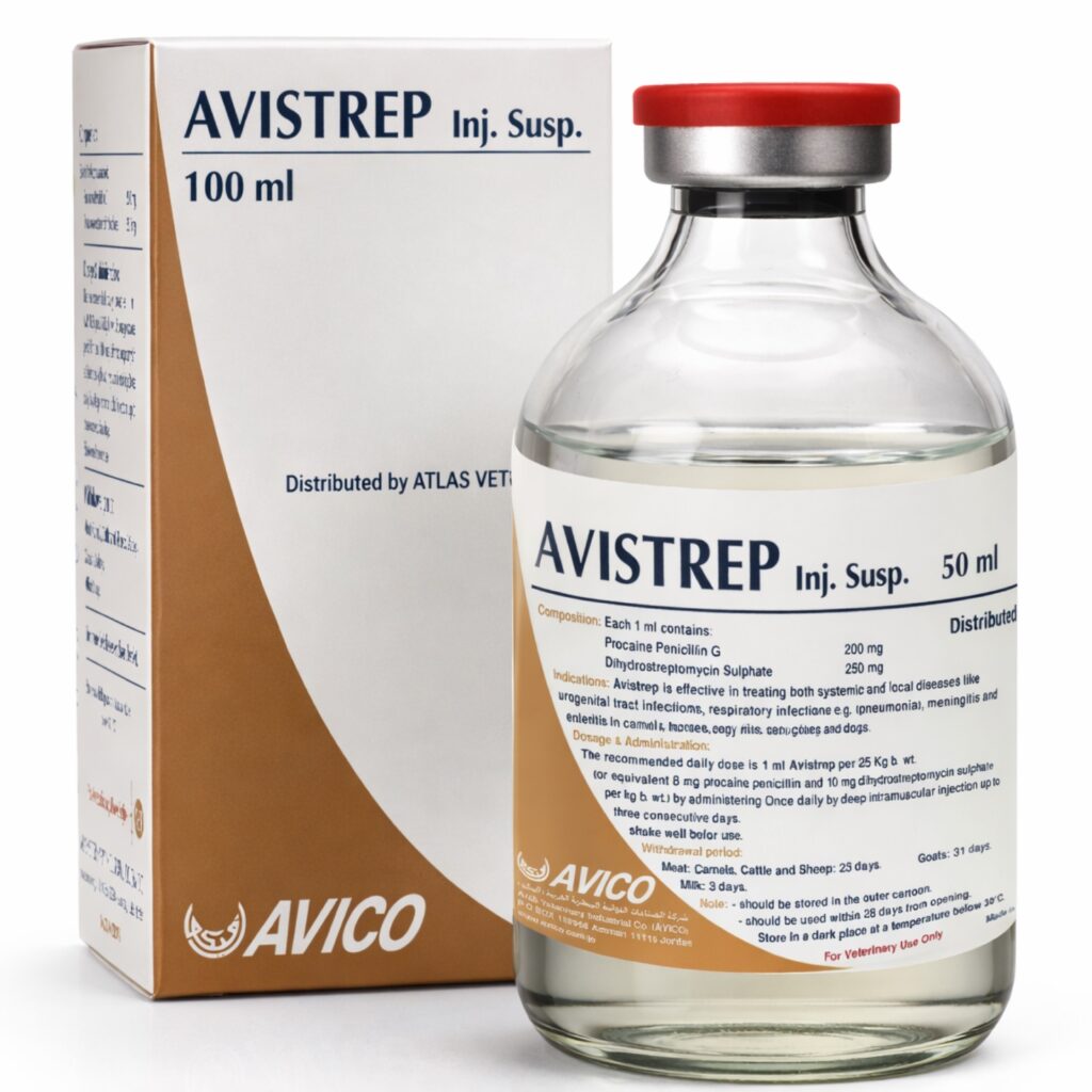 AVISTREP